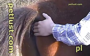 gay bestiality, zoo porn videos