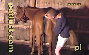 zoophilia fuck porn, horse sex