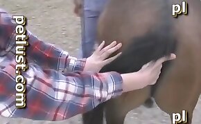 gay bestiality, beastiality videos
