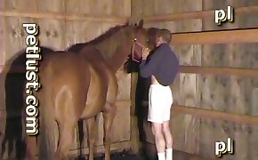gay bestiality, horse sex