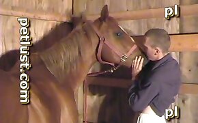gay bestiality, horse sex