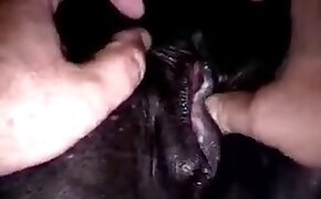crazy zoophilia, horse sex