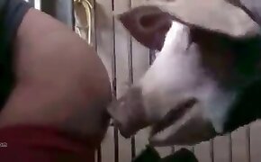 free animal porn, beastiality videos