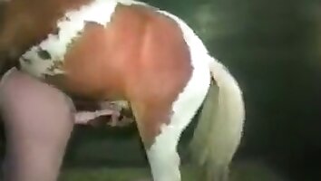 جانور کا عورت سے جنسی تعلق,سینگ جنسی