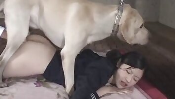 asian zoo porn,wild porn