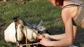 passionate sex,bestiality movie