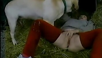 pussy fucking,animal fucks woman
