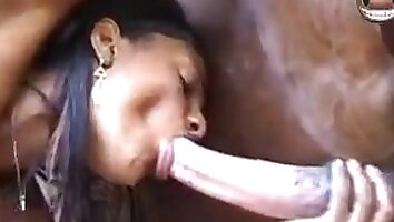 dick riding,animal fucks woman