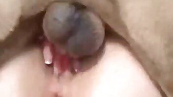 farm sex,human and animal fucking