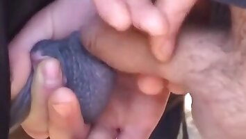 hardcore animal sex,wild porn