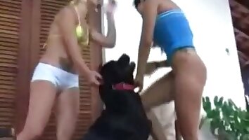 dievča súloží so zvieraťom,zoo-porno so psom