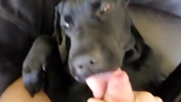 zooporno gay,sexo intenso