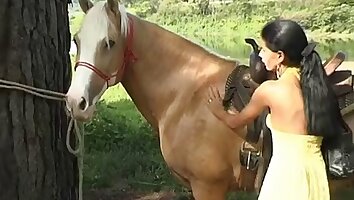 rough fucking,free horse sex video