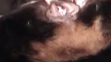pet sex,hardcore animal sex