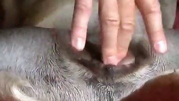 büyük penis,sert sikişme