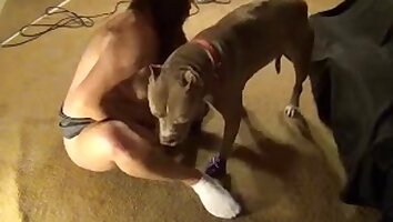 hardcore animal sex,animal fucks woman