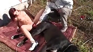 sexo de animais de estimação,sexo ao ar livre