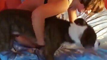 villi porno,tyttö panee eläimen kanssa