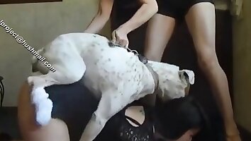 sexo duro con animales,chicas morenas calientes