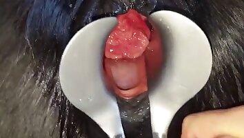 anal zoo porn,hardcore animal sex