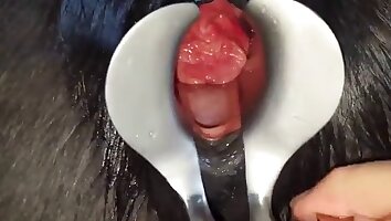 anal zoo porn,hardcore animal sex