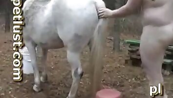 intense sex,free horse sex video