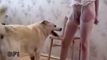 sexe animal hardcore,salopes blondes sexy