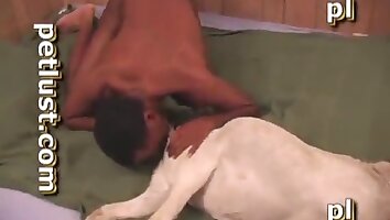 zoophilia sex video,animal and man sex