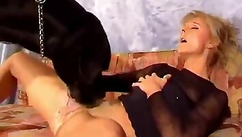 zoophilia sex video,free zoo porn video