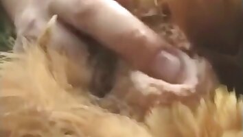 wild porn,xxx bestiality free video