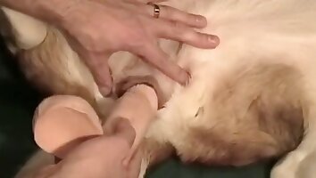 zooporno anal,películas zooporno