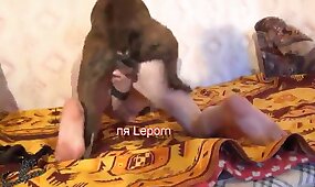 zoo fuck porn, dog porn