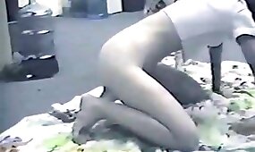 pussy fuck, animal fucks girl