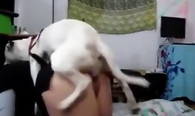 animal fucks girl, zoo fuck porn