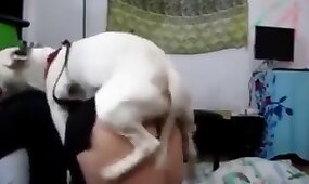 animal fucks girl, zoo fuck porn