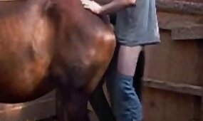 cow, hardcore