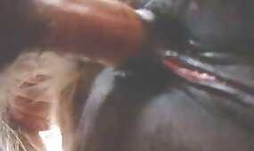 animal porn videos, bestiality sex videos