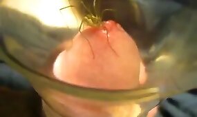 beastiality videos, 