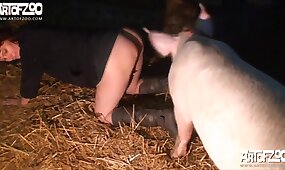 pig, sexy bestiality