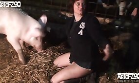 pig, zoophilia video