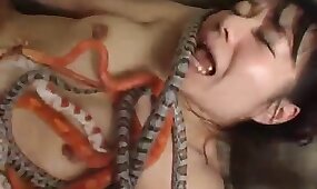 snake, zoophile sluts