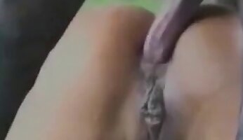 hardcore zoophilia,anal zoo porn