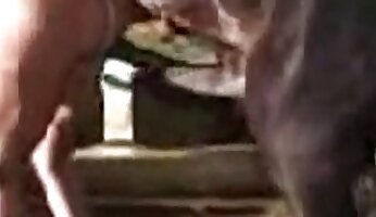 amateur- en zelfgemaakte porno,gratis dierentuinporno video