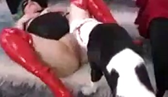 ücretsiz hayvanat bahçesi porno videosu,hayvan seks videosu
