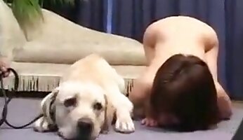 sıcak hayvan seksi,ücretsiz hayvanat bahçesi porno videosu