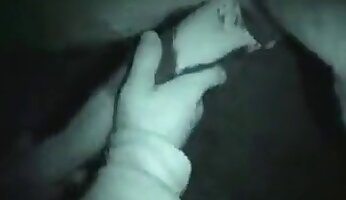 velik kurac,zoofilija žrebcev
