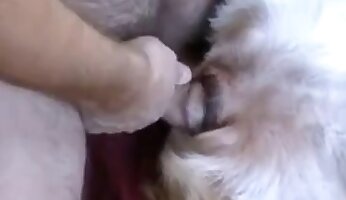 zoofilia hardcore,sexo sensual