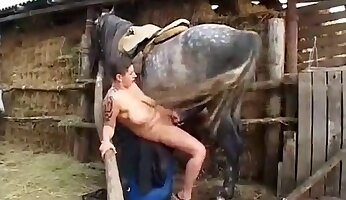 hardcore zoofili,dyr knepper kvinde