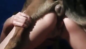 amatør og hjemmelavet porno,anal zoo-porno