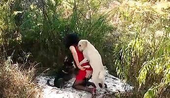 fucking bestiality,free zoo porn video